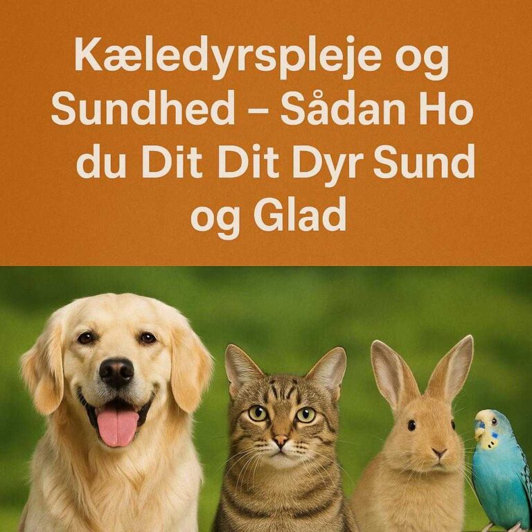 Kæledyrspleje og Sundhed – Sådan Holder Du Dit Dyr Sund og Glad