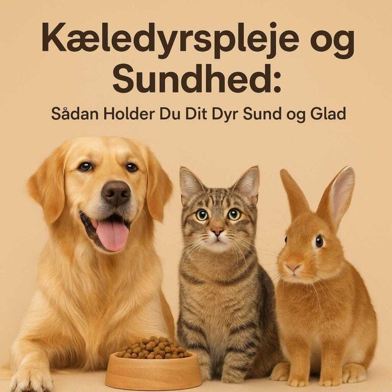 Kæledyrspleje og Sundhed: Sådan Holder Du Dit Dyr Sund og Glad